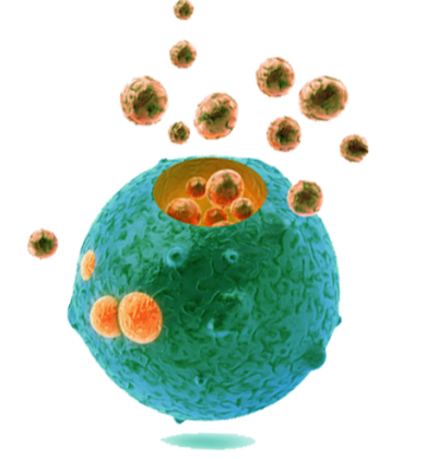 Secretosome-drkeyhanvar-ARTAN-exosome4