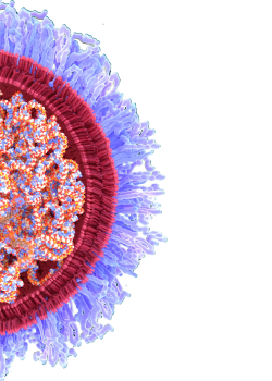 Secretosome-drkeyhanvar-ARTAN-exosome6